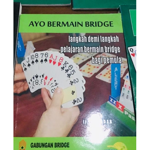 Ayo bermain bridge